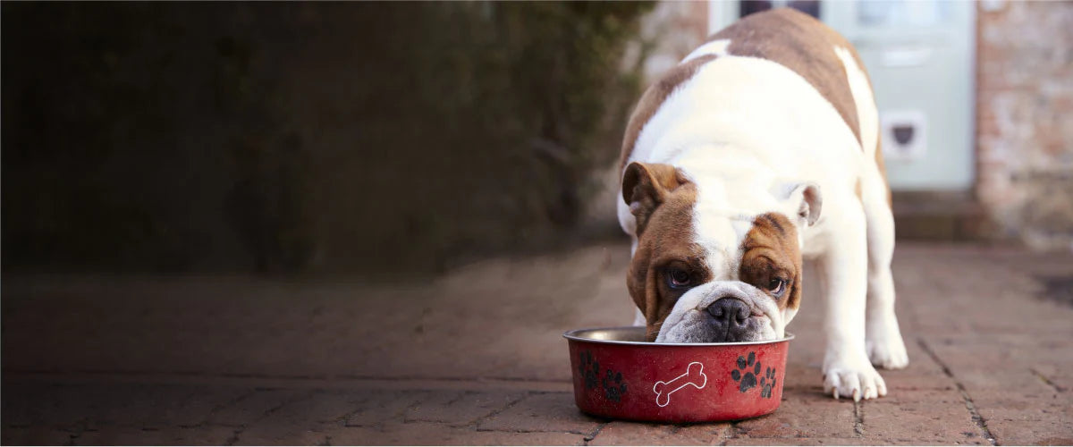 Raw Food